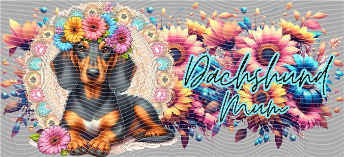 16oz Latest Bestseller-C 2653